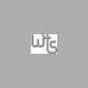 Wt Building Services