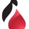 Plumbnation