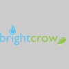Bright Crow