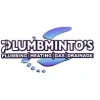 Plumbmintos